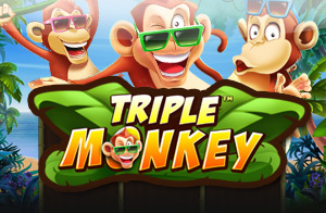 Triple monkey slots